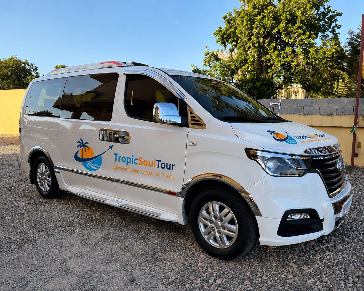 Van Hyundai H1 Blanca