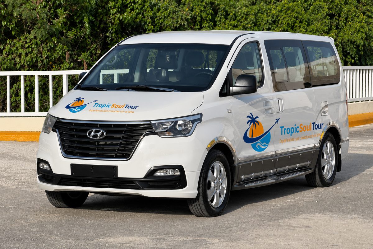 Van Hyundai H1 Blanca Frontal